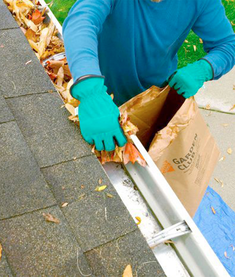 Gutter Cleaning