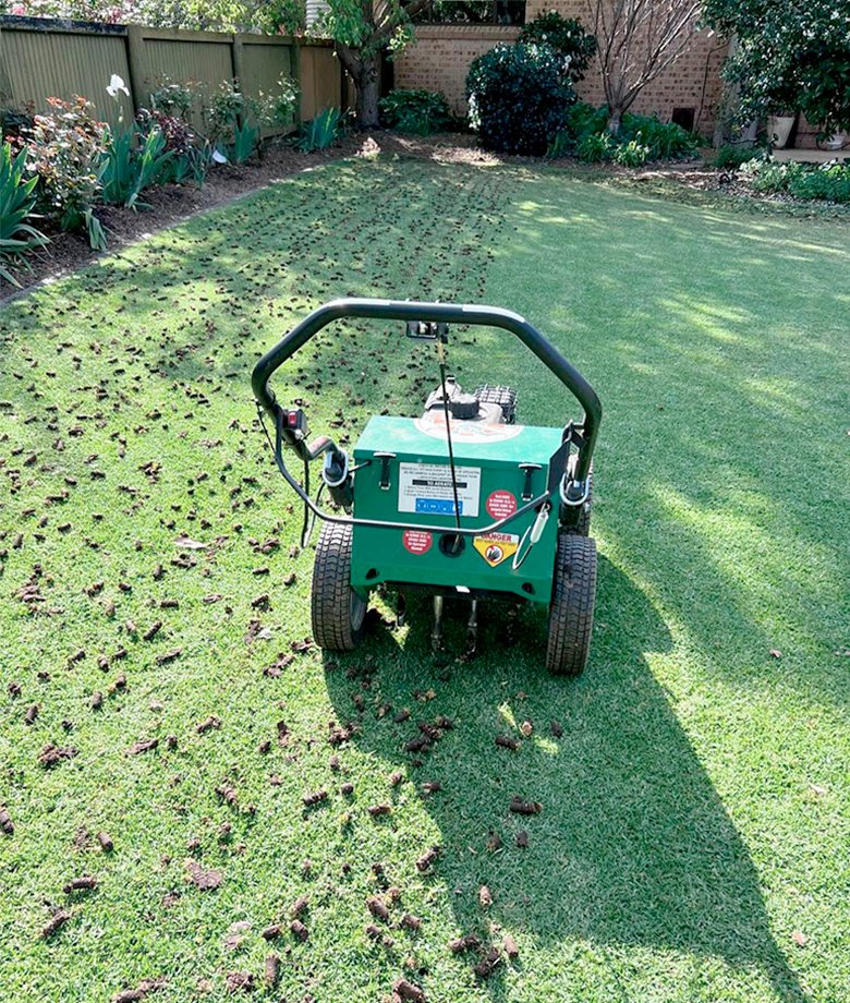 Lawn Aeration & Overseeding
