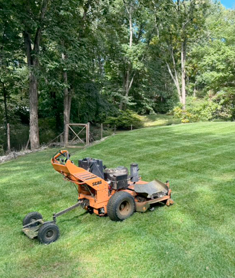 Mowing and Trimming