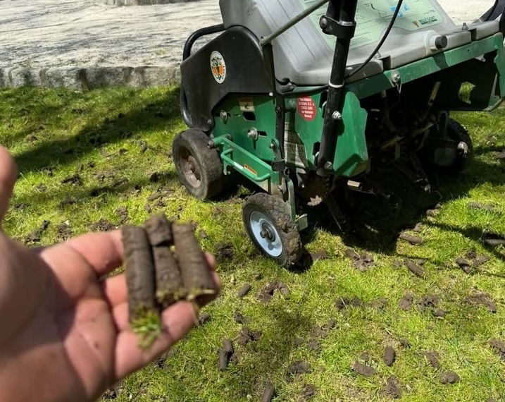 Aeration/Overseeing