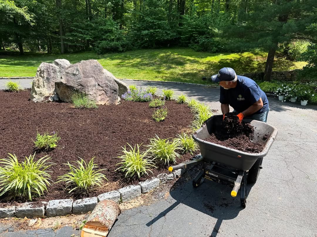 Garden and lawn maintenance
