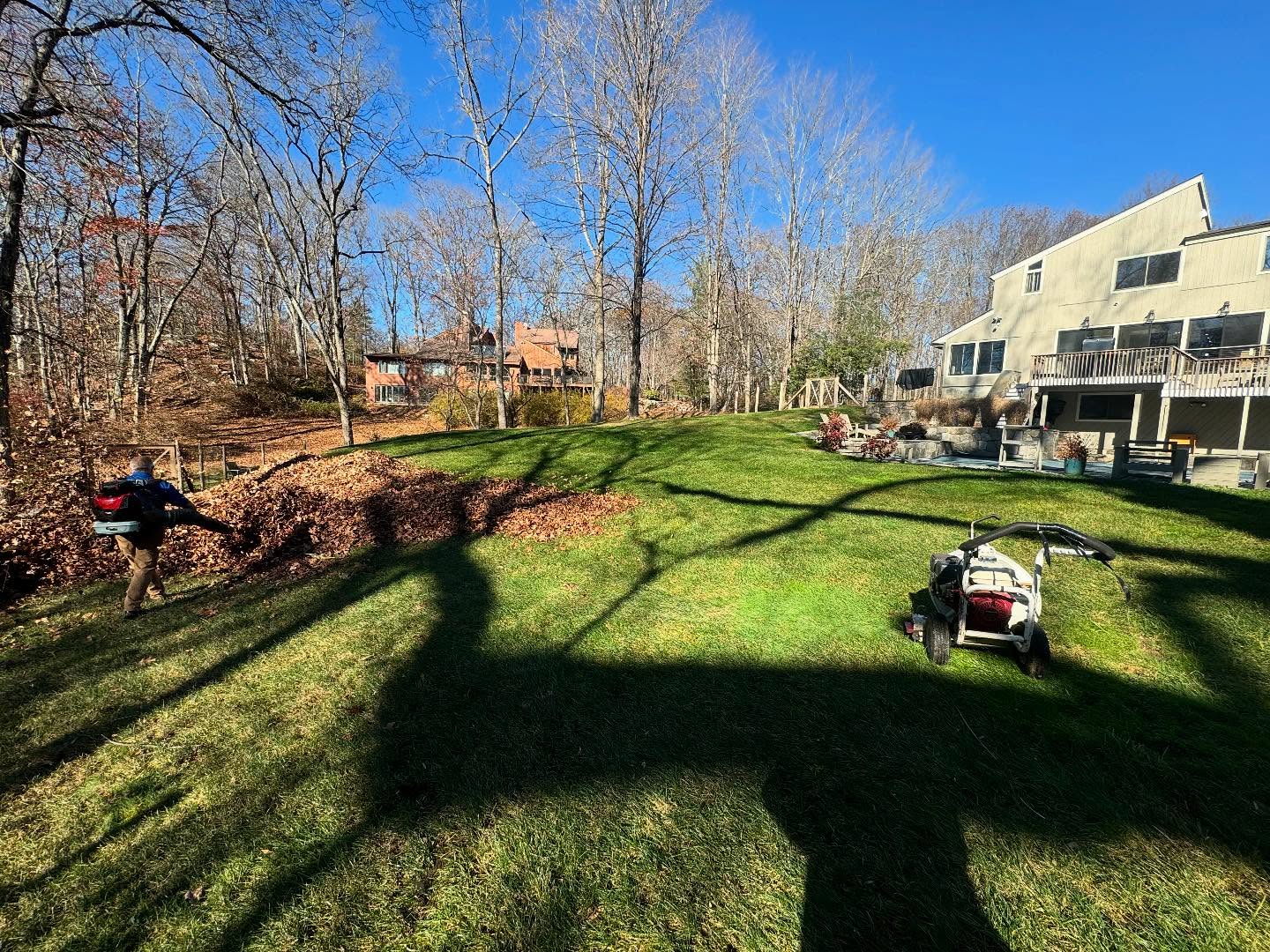 Spring /Fall clean up