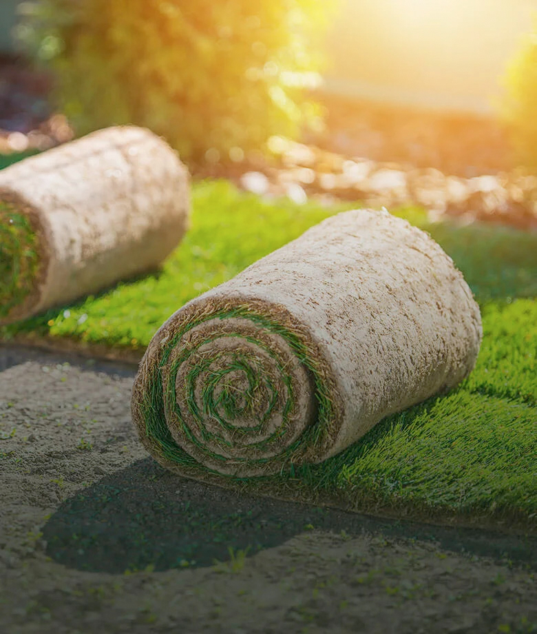Sod Installation
