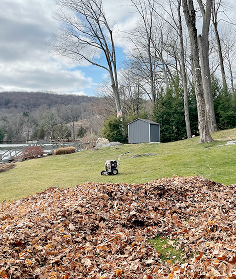 Spring/Fall Clean Up